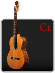 Guitare classique Pappalardo C1